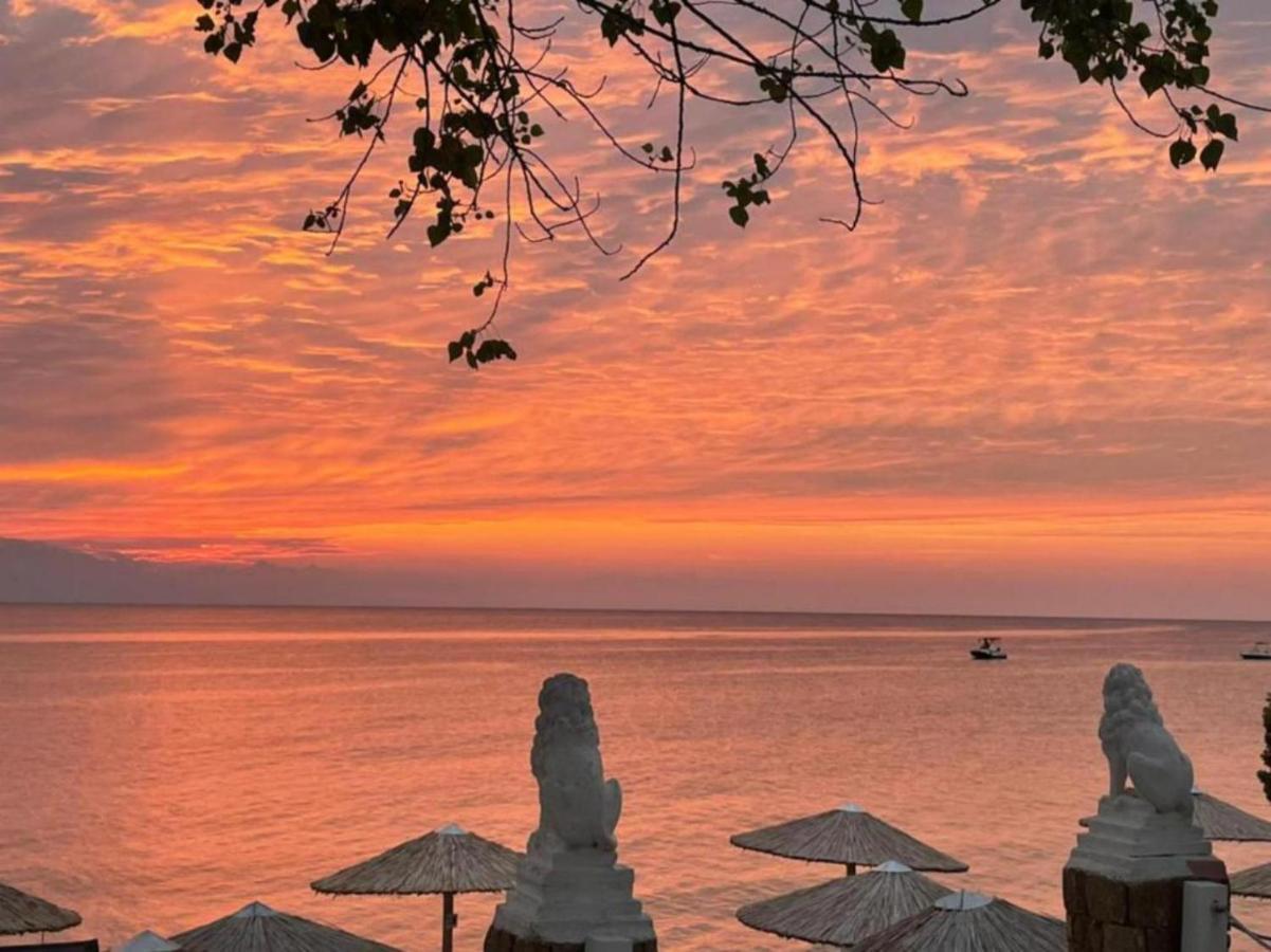 Halkidiki Greek Pride Villa Ellada フォルカ エクステリア 写真